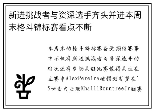 新进挑战者与资深选手齐头并进本周末格斗锦标赛看点不断